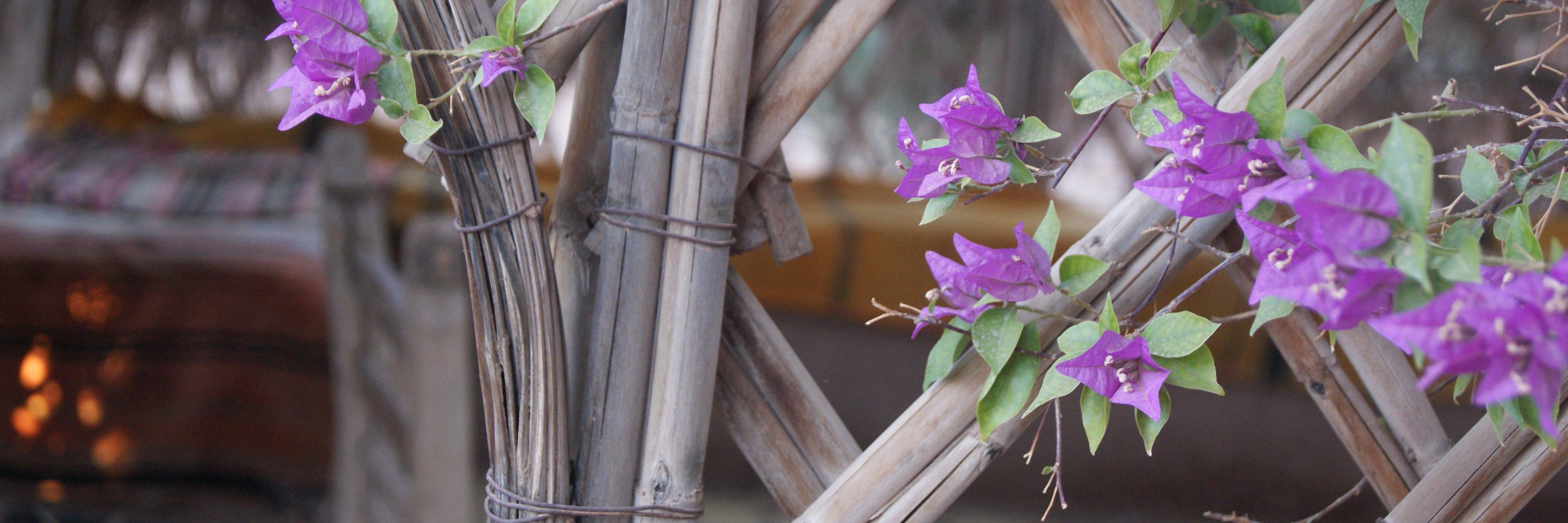Ay_Maria8's profile banner image
