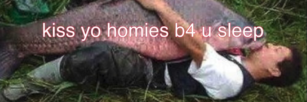 Eric Tu (parody account) | badboi.eth | ZK™ banner