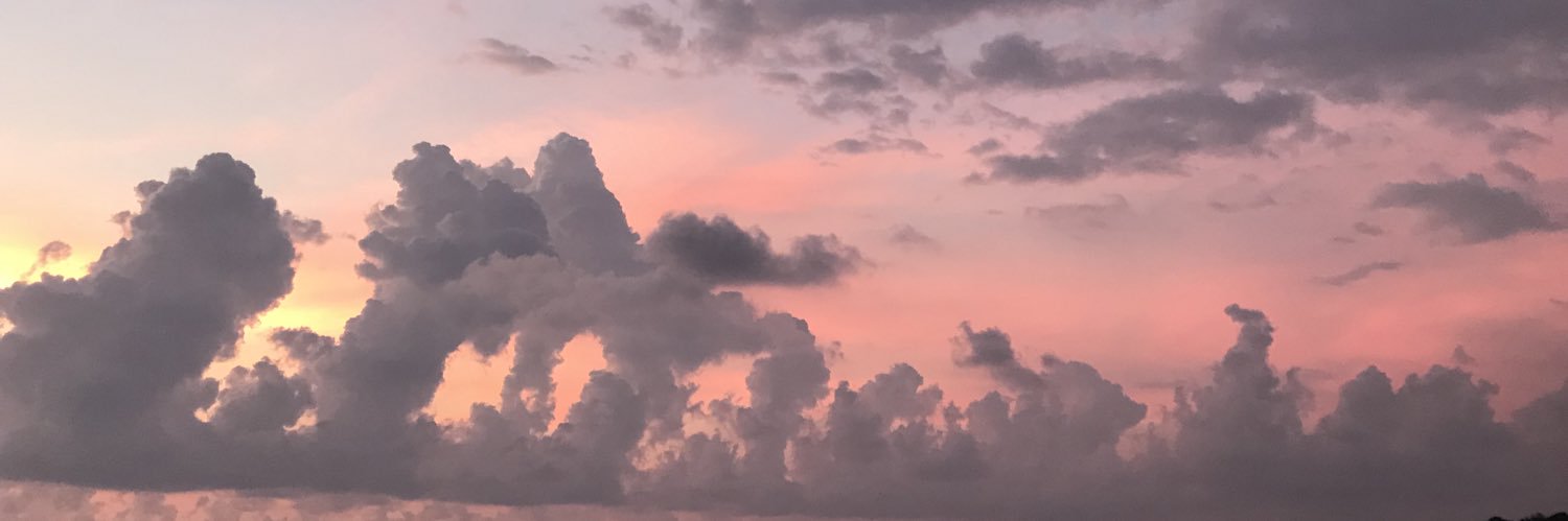 buttng1D's profile banner image