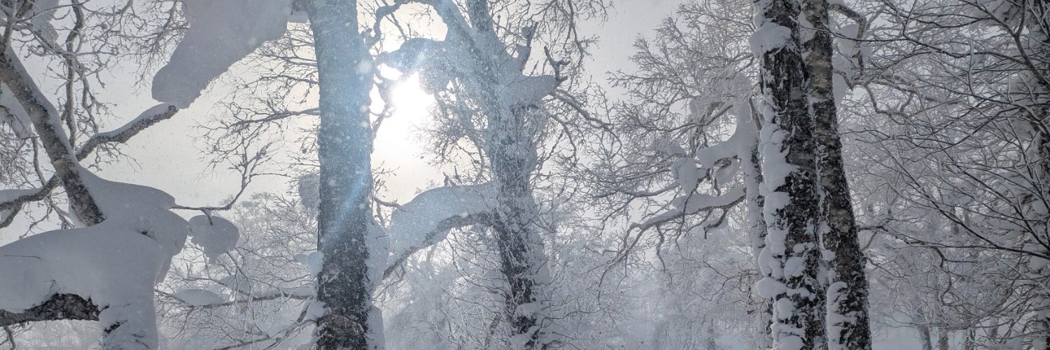 ぎんじ 🏂️ banner