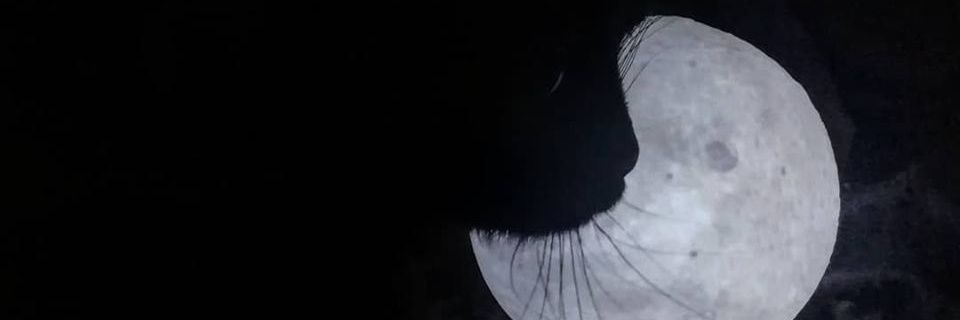 ep_roller's profile banner image