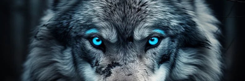 jkptal's profile banner image