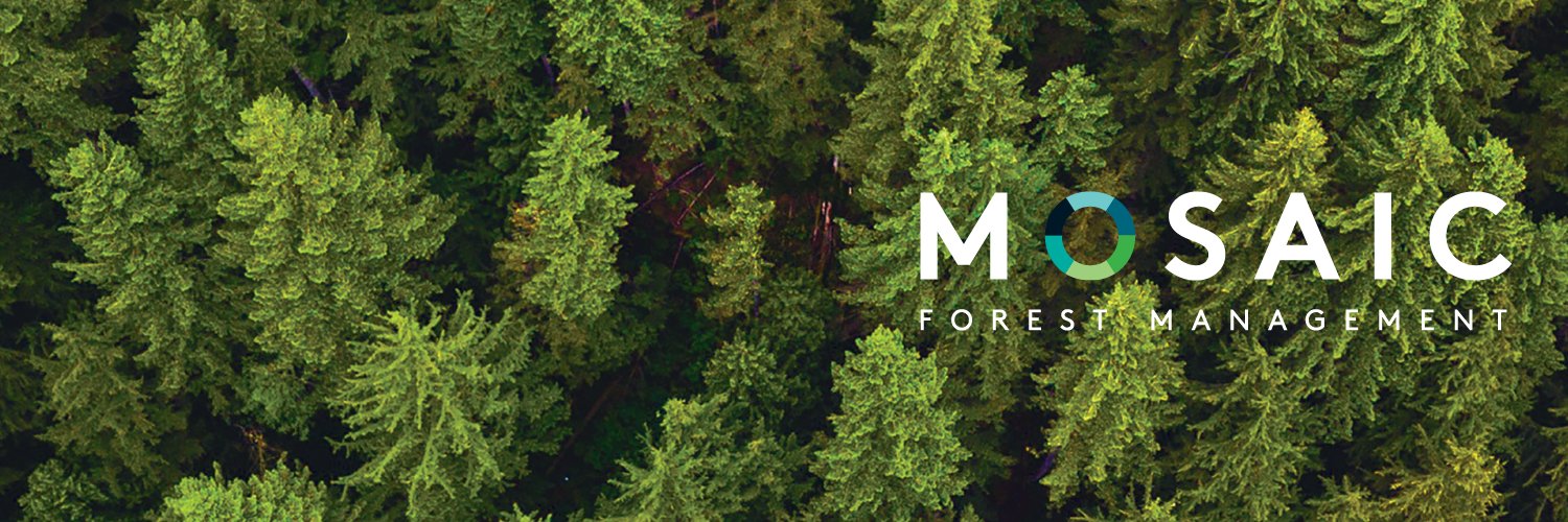 MosaicForests's banner