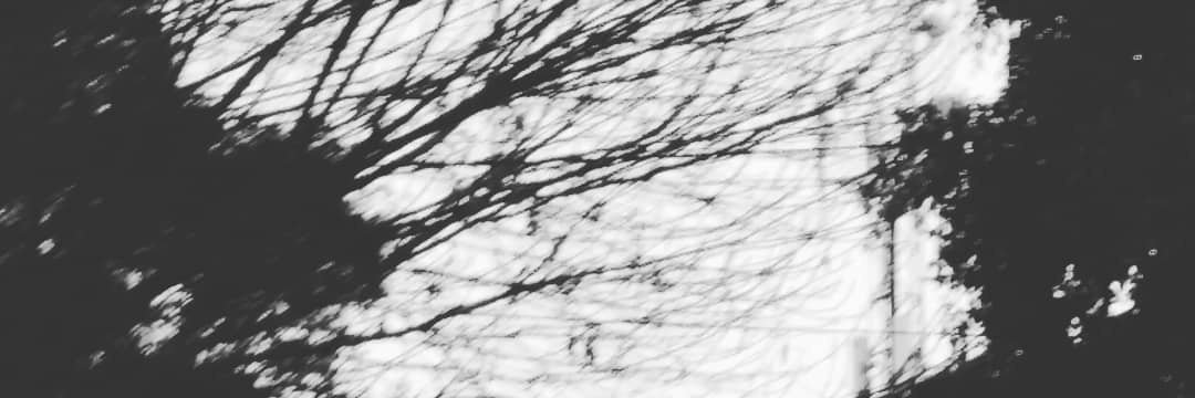 nmjm666's profile banner image