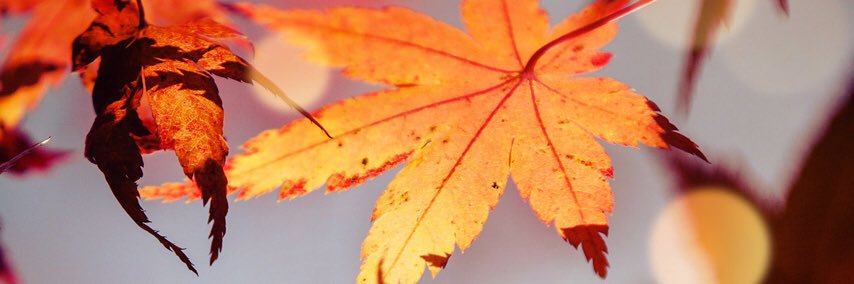 hide_k_i_'s profile banner image