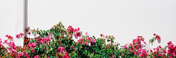 tommykha Profile Banner