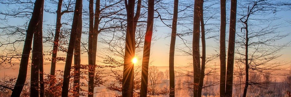 بومحمد banner