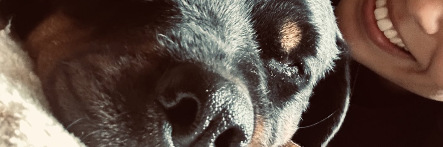 Jully_gb's profile banner image