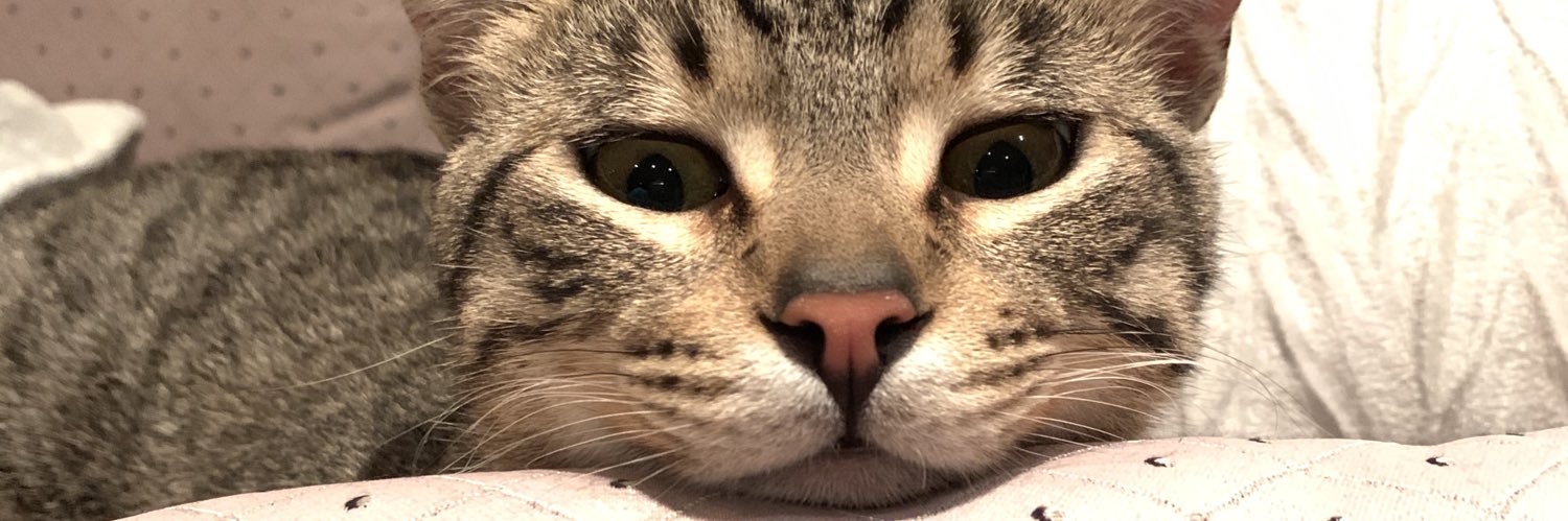 Vickaaaay627's profile banner image