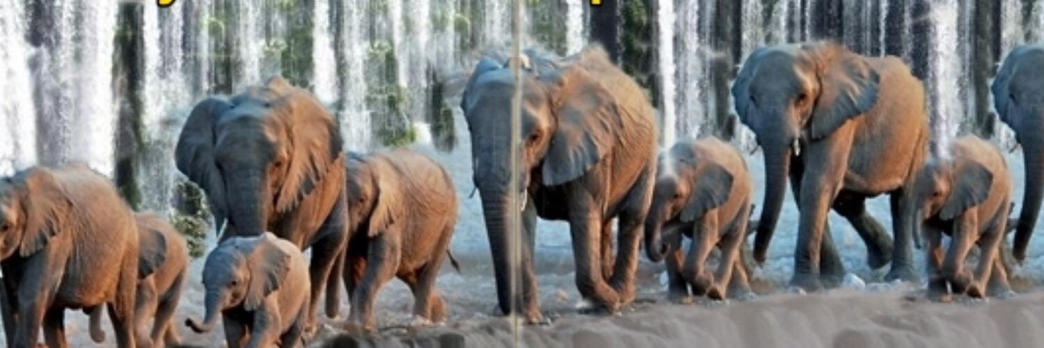 Hamilton Hill banner