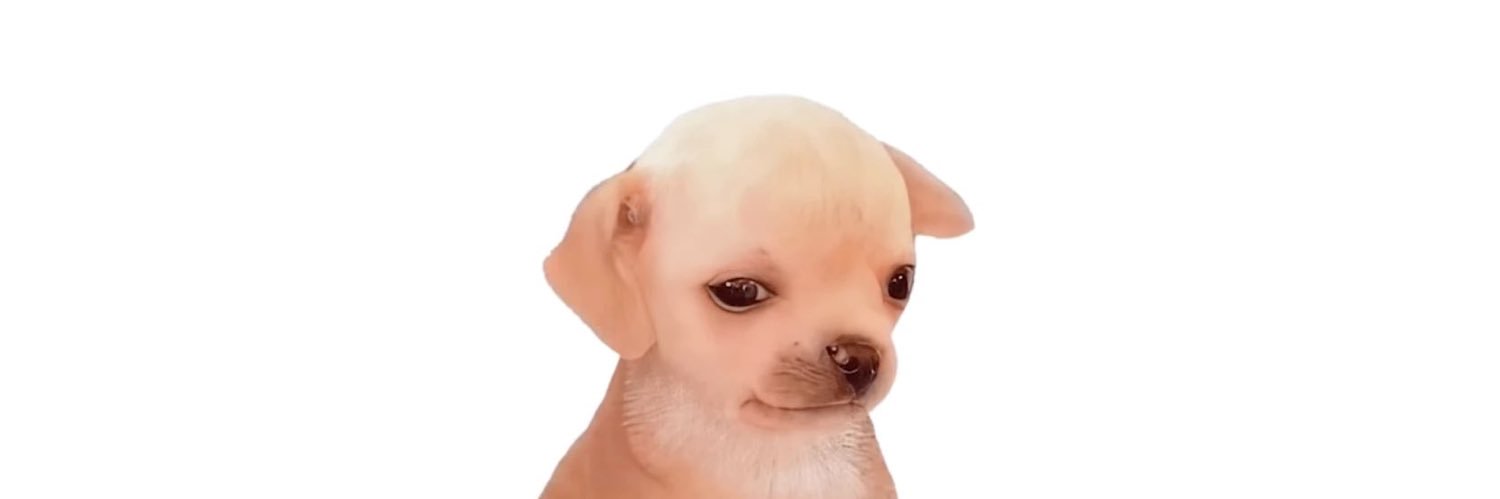 𝙶𝚊𝚢𝚕𝚘 𝚁𝚎𝚗 banner