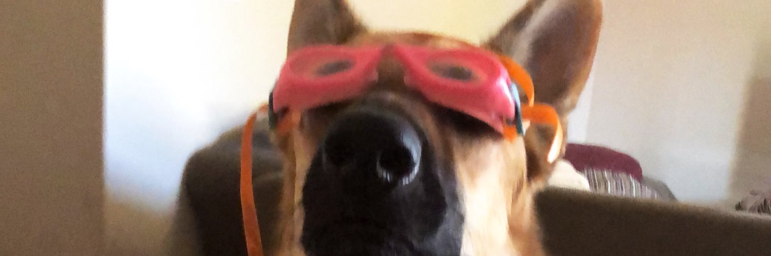 HeatherBall__'s profile banner image