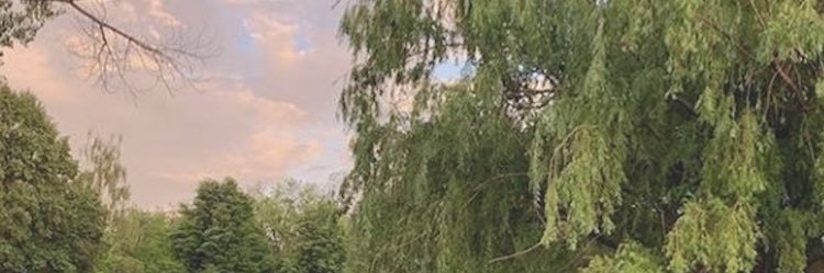 rbreit76's profile banner image
