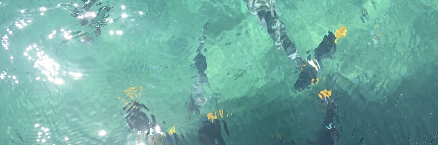 TannerStipic's profile banner image