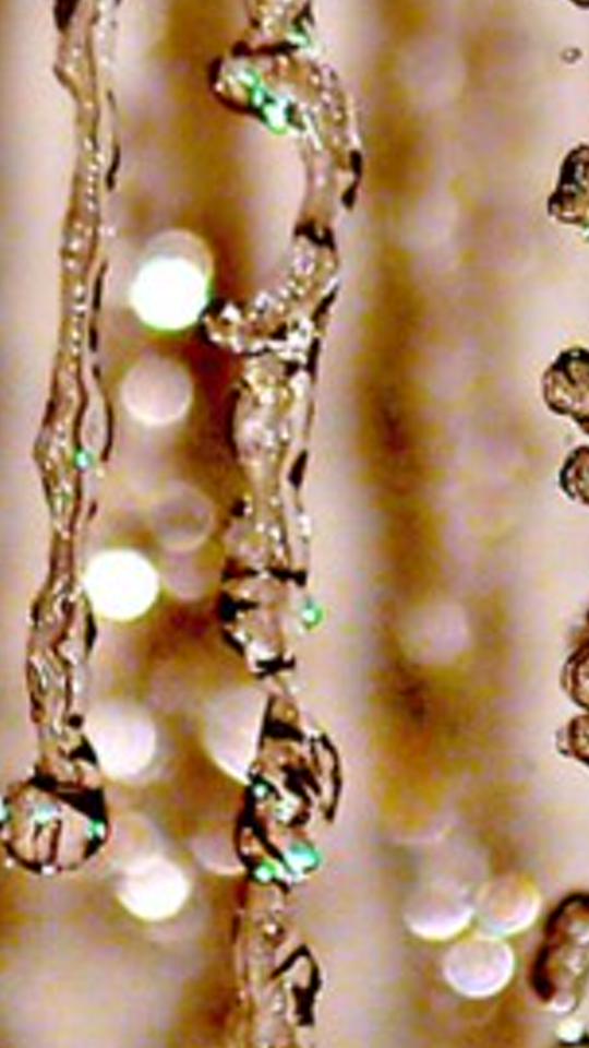 rillamelia's profile banner image
