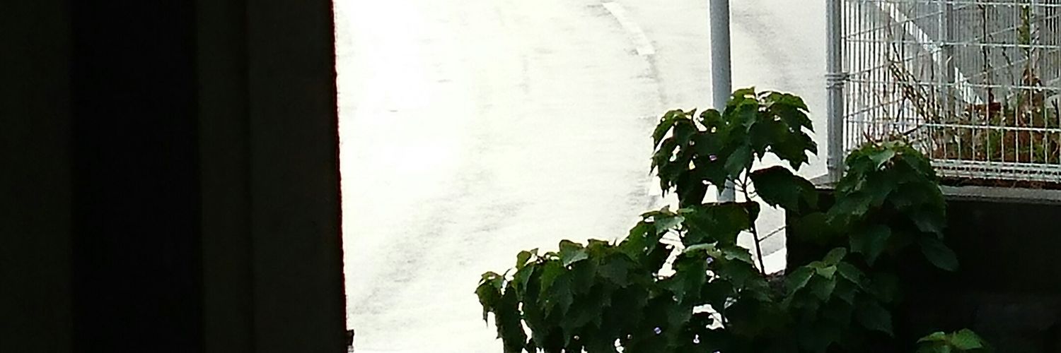 boyboybox's profile banner image