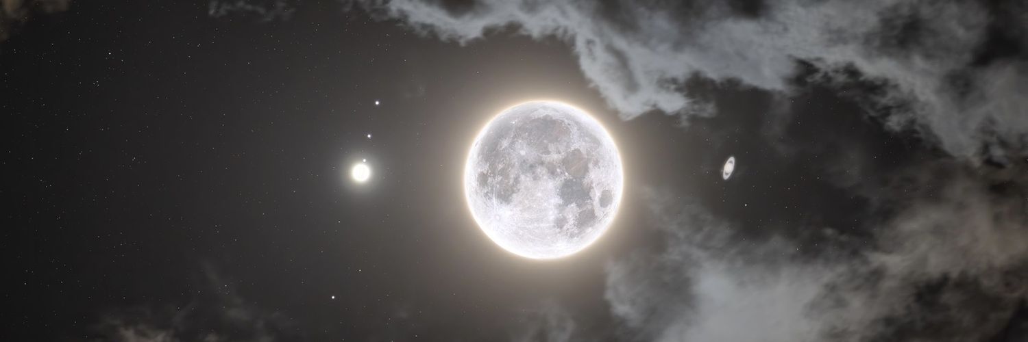 W i c k e d B e a u t y banner