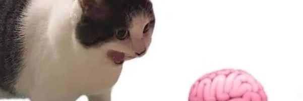 Danimhcw's profile banner image