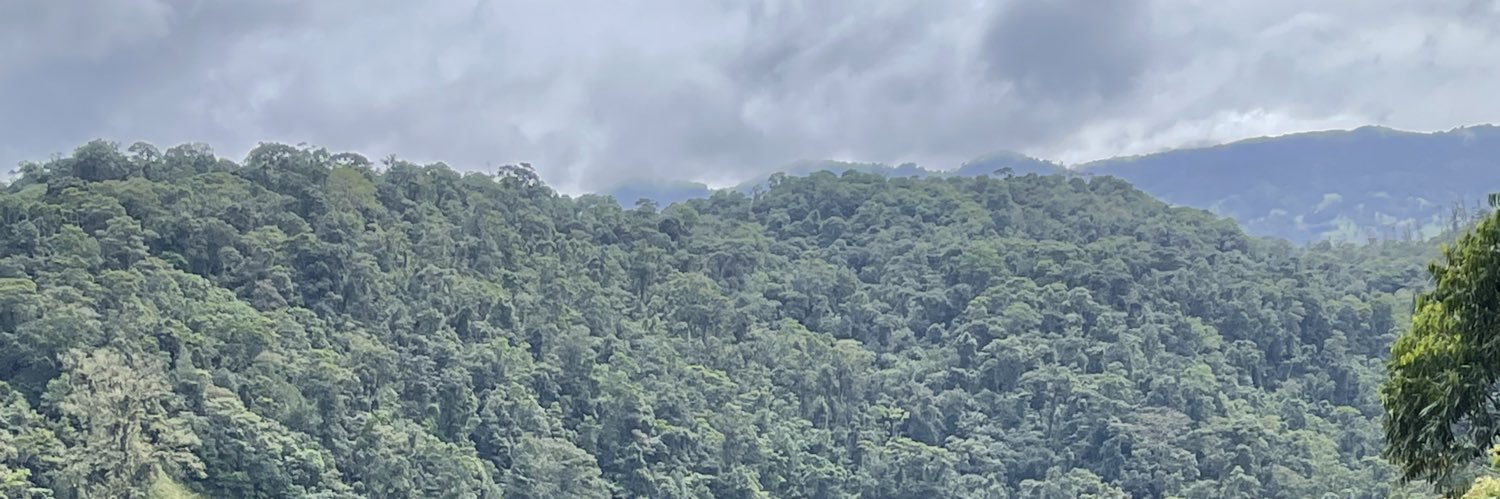 fernandaburruel's profile banner image