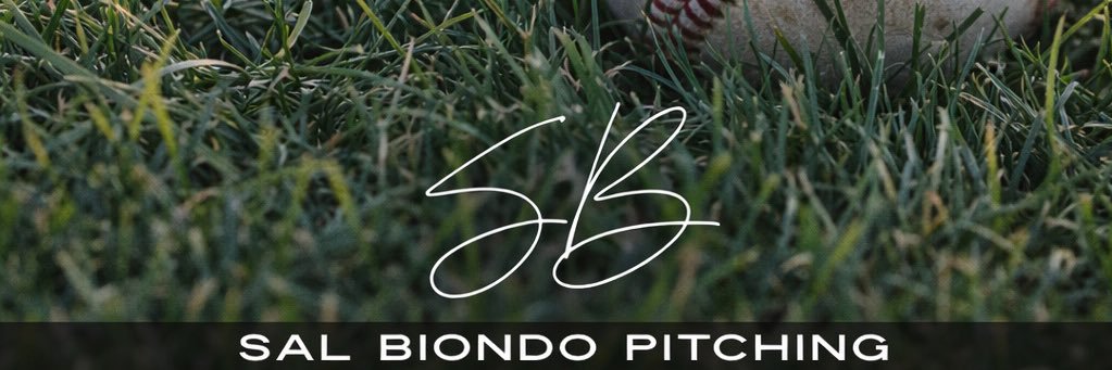 Salvatore Biondo banner