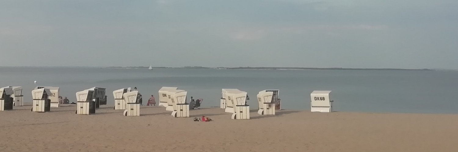 Anne Stauffer banner