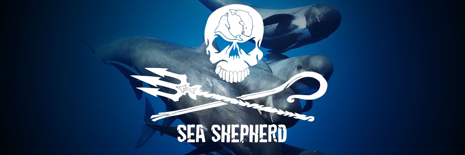 Gorothlive's profile banner image