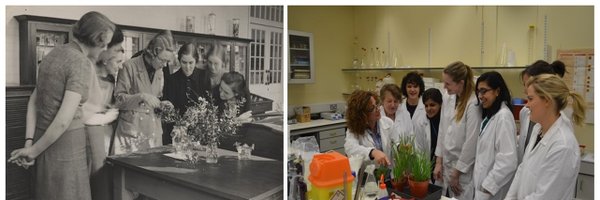RHULWiB Profile Banner
