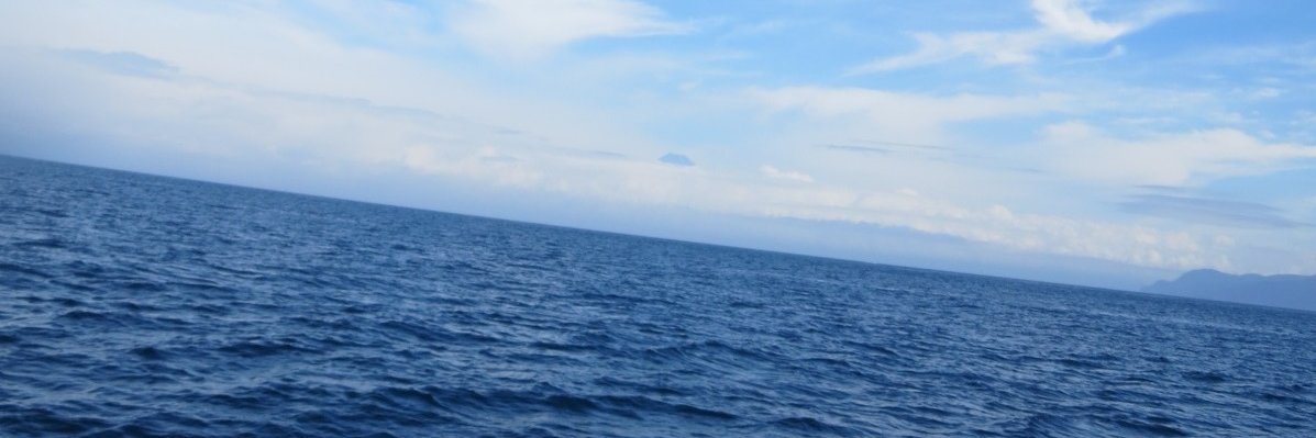 liccaboo's profile banner image