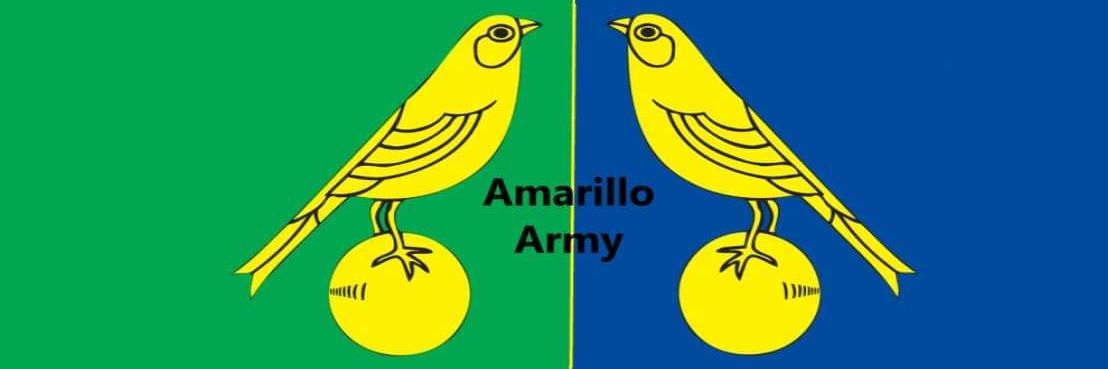 Amarillo Army banner
