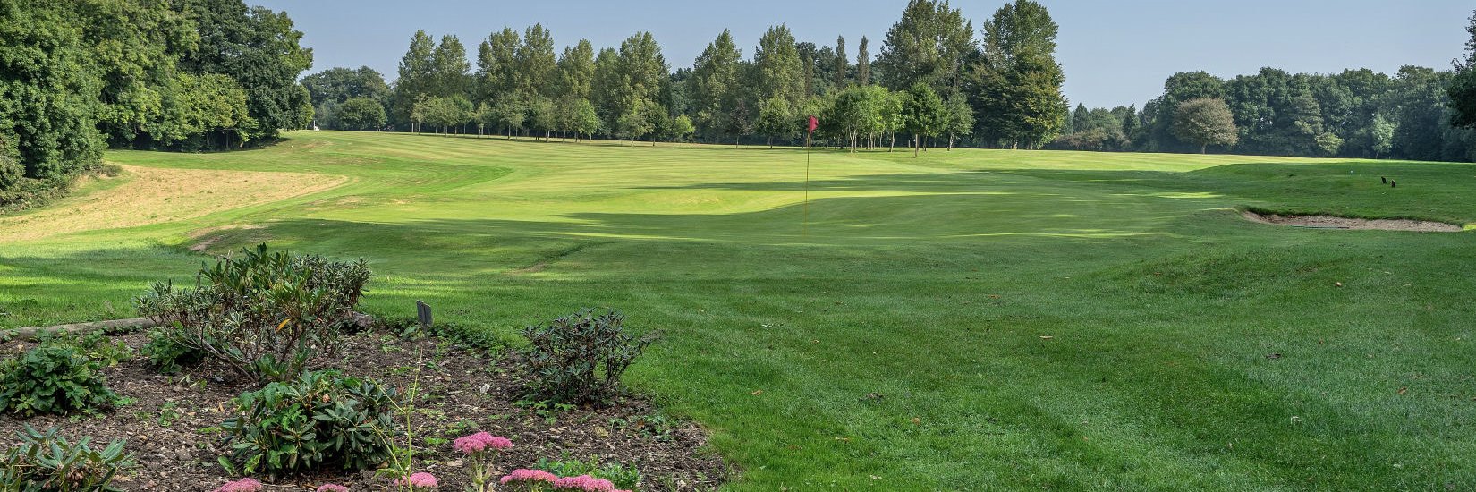 AltonGolf's profile banner image