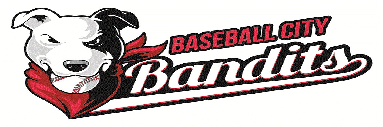 Baseball City Bandits - Summer College Baseball banner