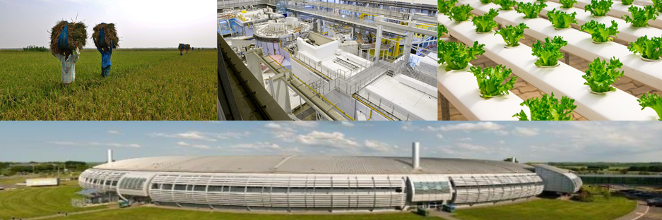 STFC Food Network+ banner