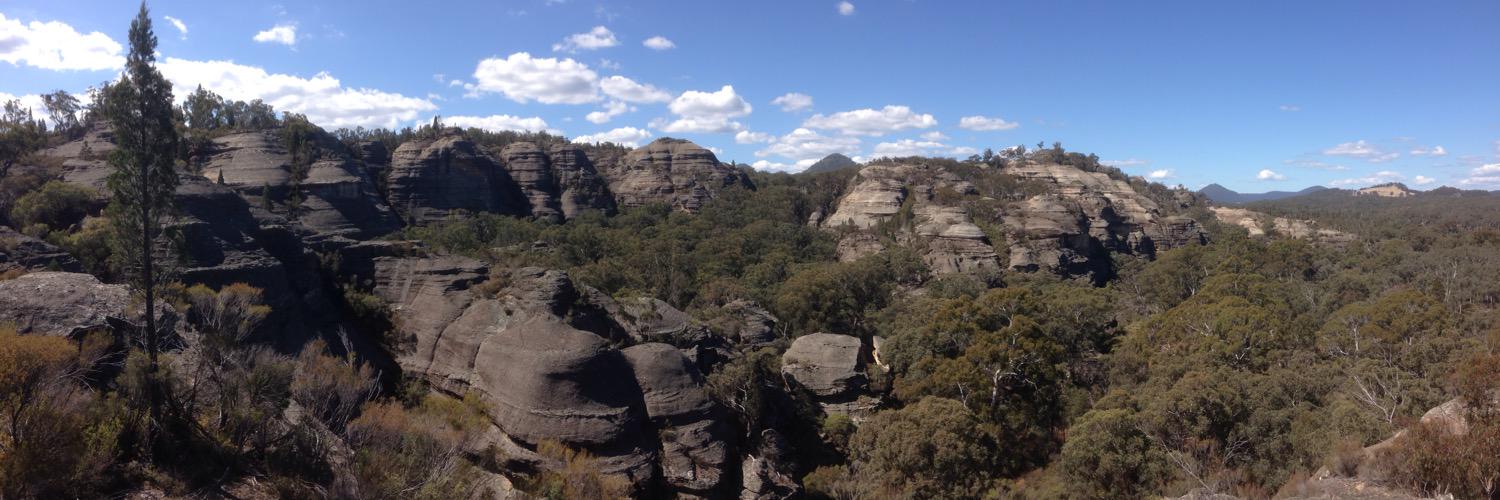 Anthony Bosch banner