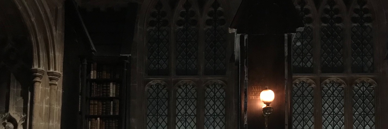 banaili's profile banner image