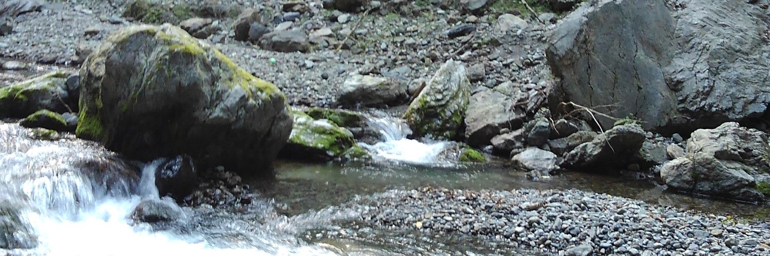 ユーグRena banner