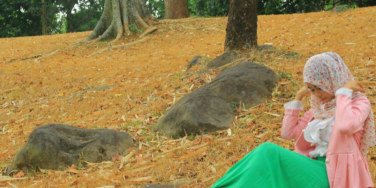 Dewiwardatul's profile banner image