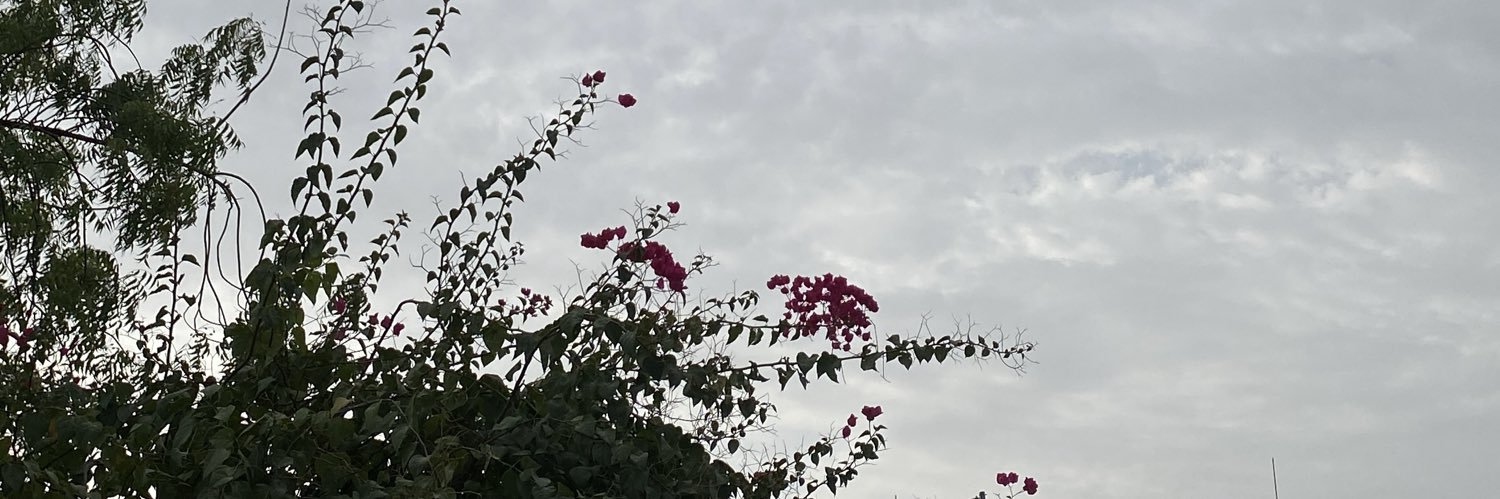3l_97's profile banner image