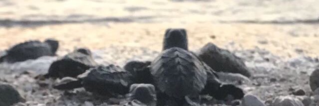 nhoraa's profile banner image