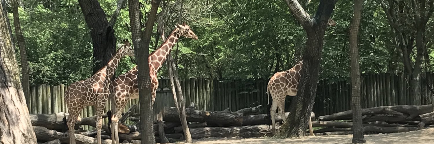 Christinia Hirsch banner