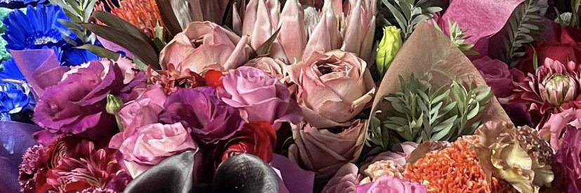 dcyfy5e's profile banner image