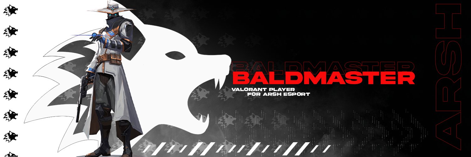 BaldMaster Profile Banner