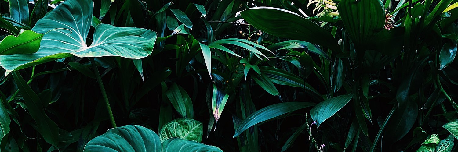 jeffstickles's profile banner image