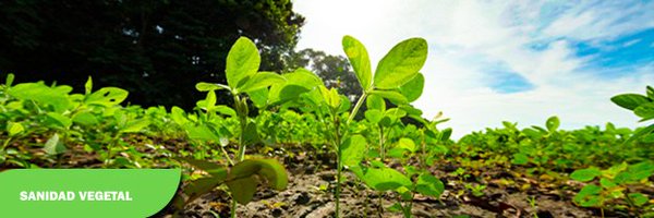 InisavCuba Profile Banner