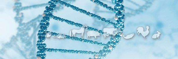 UMR_GABI Profile Banner