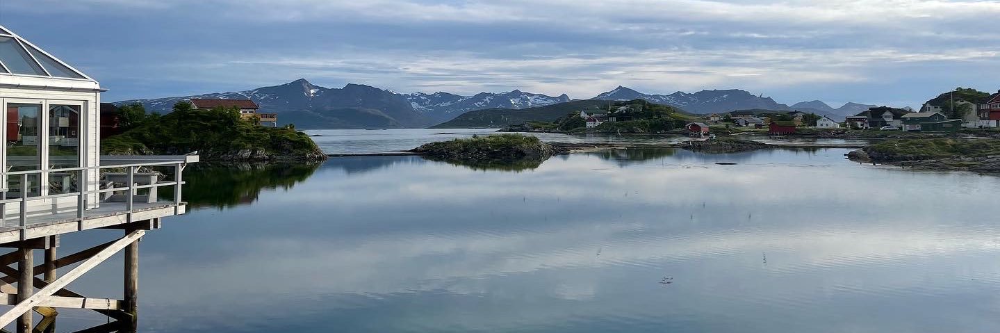 Adrián de la Garza banner