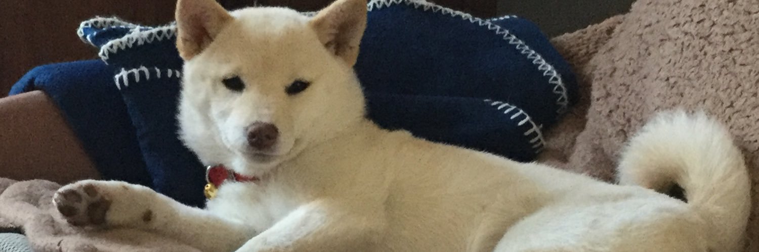 p_ichi's profile banner image