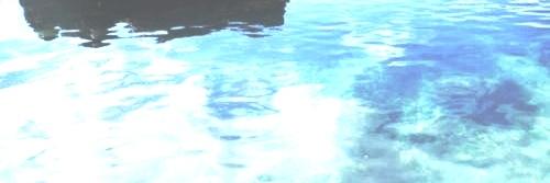 tiportoinme's profile banner image