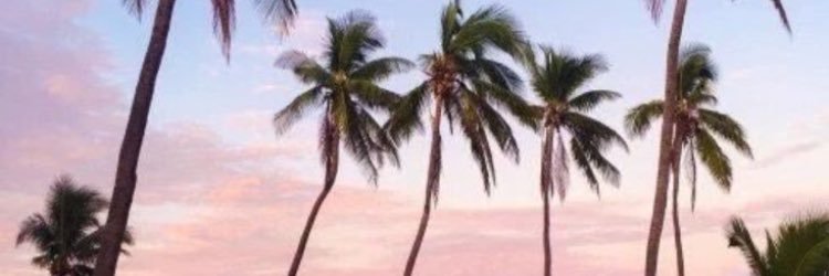 elmo_sx's profile banner image