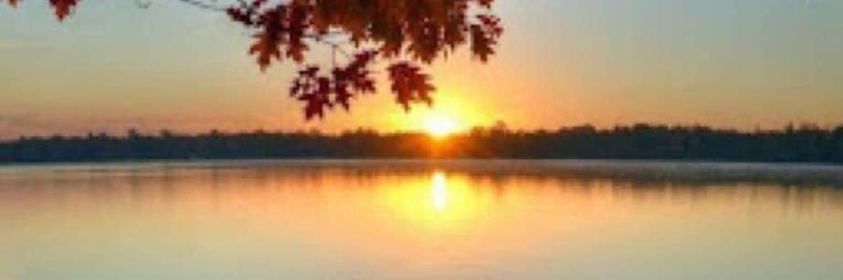 Snark Reality banner