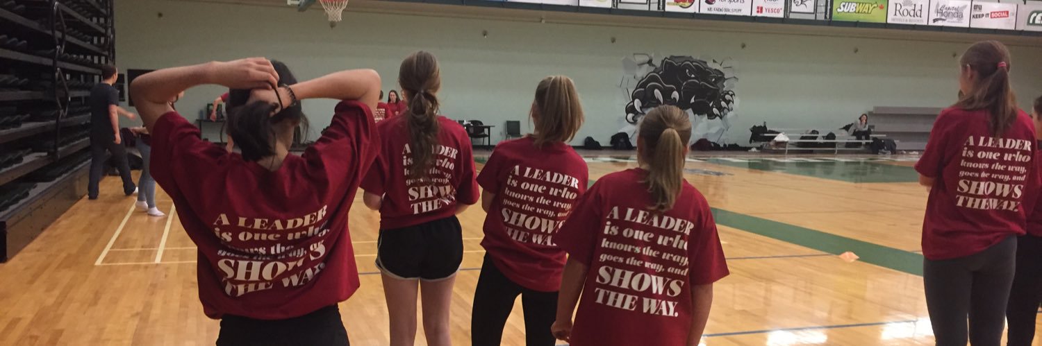 PEI Phys Ed Association banner